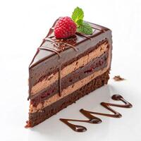 A piece of chocolate cake with a raspberry on top photo