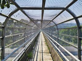 Pedestrian Bridge with Protective Mesh Covering Extending Over a Lush Green Landscape, photo