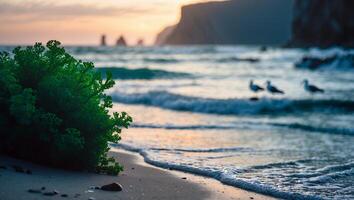 Green Plant on Sandy Beach with Ocean Waves and Distant Cliffs photo
