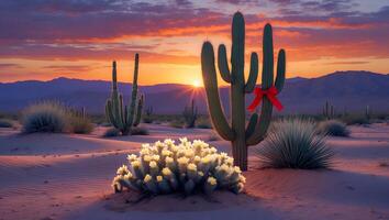 Cactus and Desert Plants in Sunset with a Red Bow Detail photo