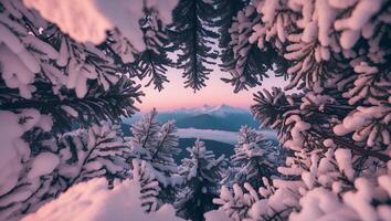Snowy Pine Trees Framing Distant Mountain Peaks at Dawn or Dusk photo