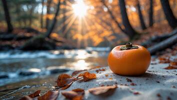 Persimmon by Stream in Autumn Forest with Golden Sunlight photo