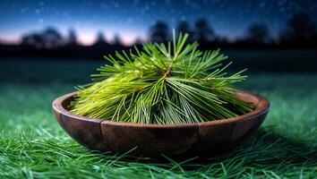 Pine Needles in Wooden Bowl on Grass Under Starry Night photo