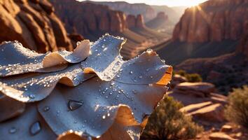Dew Drops on Leaf Overlooking Canyon at Sunset in Desert Landscape photo