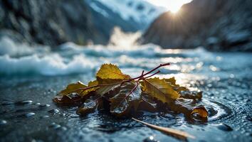 Leaves by Flowing River Water with Snowy Mountains and Sunlight photo