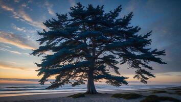 Lonely Tree Standing on Beach with Waves at Colorful Sunset photo