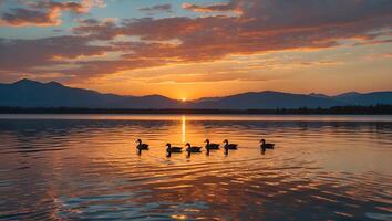 Geese Swimming on Lake at Sunset with Mountain Silhouette Backdrop photo