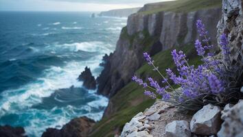 Lavender Blooming on Rugged Coastline with Ocean Waves and Dramatic Cliffs photo