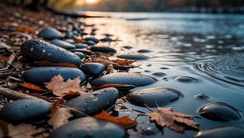 Rocks and Autumn Leaves by the Water at Sunset Landscape photo