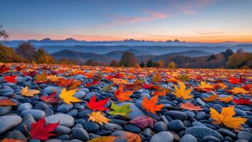 Fallen Autumn Leaves on Smooth Stones with Distant Mountain View photo