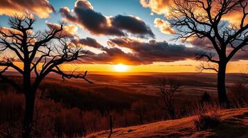 Sunsets paint the sky with warm hues, casting shadows over the tranquil landscape. photo
