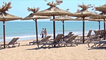 Empty Wooden Umbrellas on Ocean Beach in Early Morning in Summer Footage. video