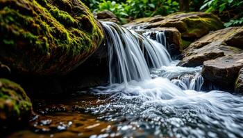 water trickling down mossy jungle rocks. photo