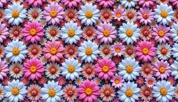 a surreal pattern of endless repeating flowers. photo