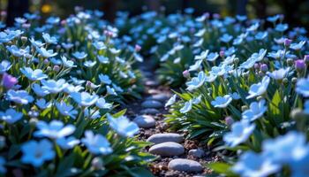 a mystical garden with glowing blue flowers. photo
