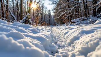 snow crunching underfoot along a frozen trail. photo