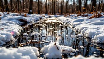 ice crystals sparkling on frozen forest puddles. photo