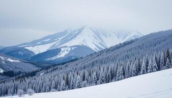 a mountain forest blanketed in thick white snow. photo
