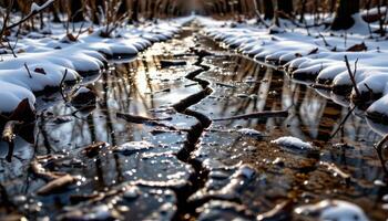 cracks forming in ice covered forest puddles. photo