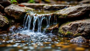 rainwater slowly dripping from mossy stones. photo