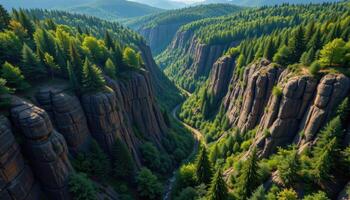 a deep ravine splitting a dense forest. photo