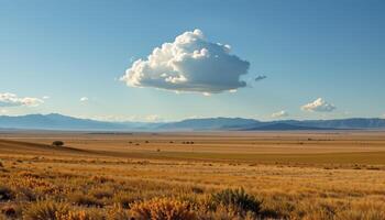 a lone cloud floating over endless plains. photo