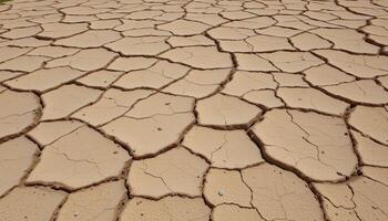 dried mud patterns in a vanished riverbed. photo