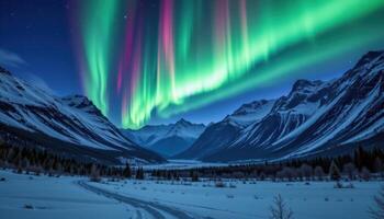 the aurora borealis illuminating a snowy valley. photo