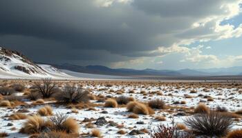 wind tearing across a desolate tundra. photo