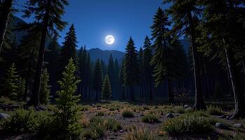 a clearing in a dense pine forest lit by moonlight. photo