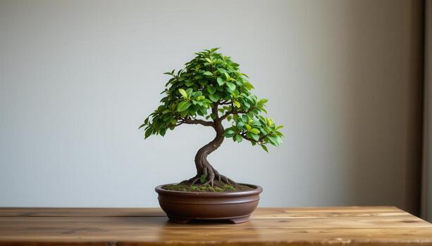 a bonsai tree on a wooden table with minimal background. photo