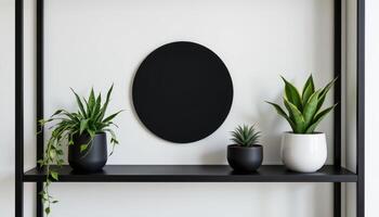 a minimalist black shelf with bold, spiky plants. photo