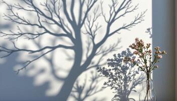 tree shadow projected across smooth white plaster walls photo