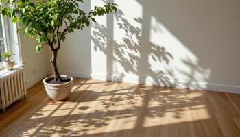 indoor tree casting patterned shadows on herringbone wood floor photo