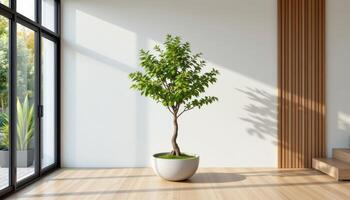 minimalist room with a single indoor tree in a concrete planter photo