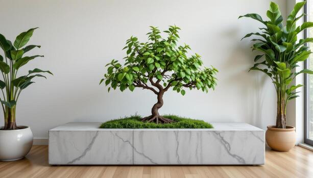 indoor tree growing from a planter embedded in a concrete bench photo