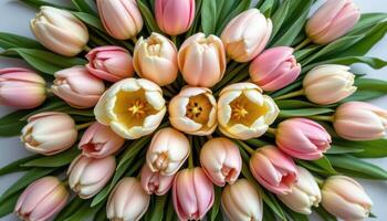 symmetrical bouquet of pale tulips arranged in minimalist style photo