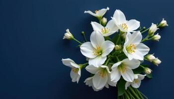 minimalist white bouquet on deep navy background photo