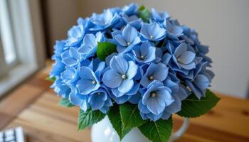 a circular bouquet made entirely of blue hydrangeas photo