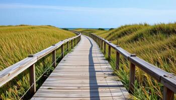 coastal boardwalk flanked by sea grass and dunes photo