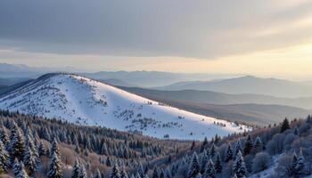 thick blanket of snow covering rolling hills photo
