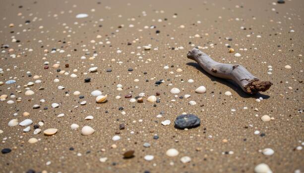 sandy beach at low tide with scattered shells and driftwood photo