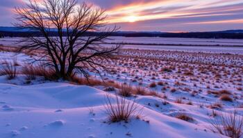 winter dusk with lavender shadows across snowy plains photo