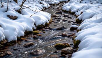 icy stream bordered by snow covered mossy stones photo