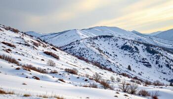 snowy hill slopes with patches of exposed dark earth photo