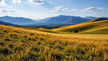 rolling grasslands stretching to a distant mountain range photo