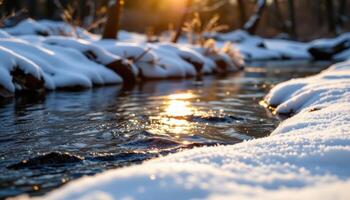 early morning frost glinting on a frozen stream surface photo