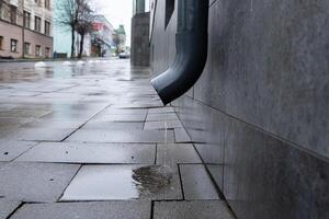 Water flows from a downspout onto the glossy, wet pavement in an urban setting during a rainy day, capturing the feel of a quiet street photo
