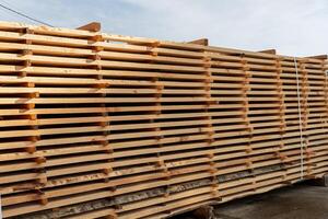 Stacks of freshly cut wooden planks are neatly arranged at a lumber yard, illuminated by afternoon sunlight against a clear sky photo