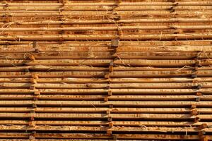 Stacks of bamboo poles are organized horizontally, showcasing their natural texture and color, ideal for eco-friendly construction photo